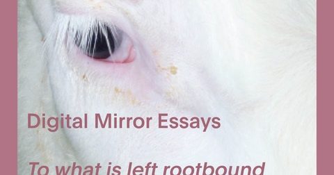 DIGITAL MIRROR: Wat wortelt is woest